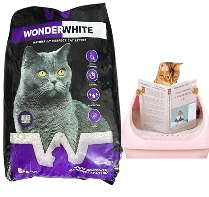 Litter & Toilet