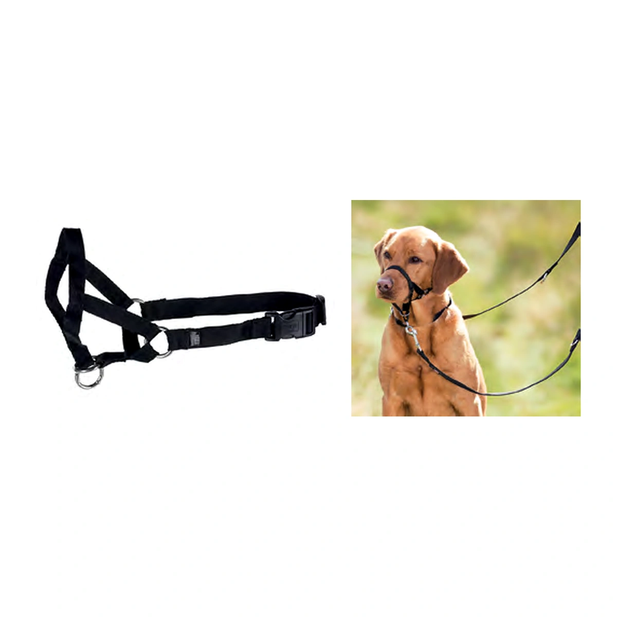 Trixie Top Trainer Training Harness