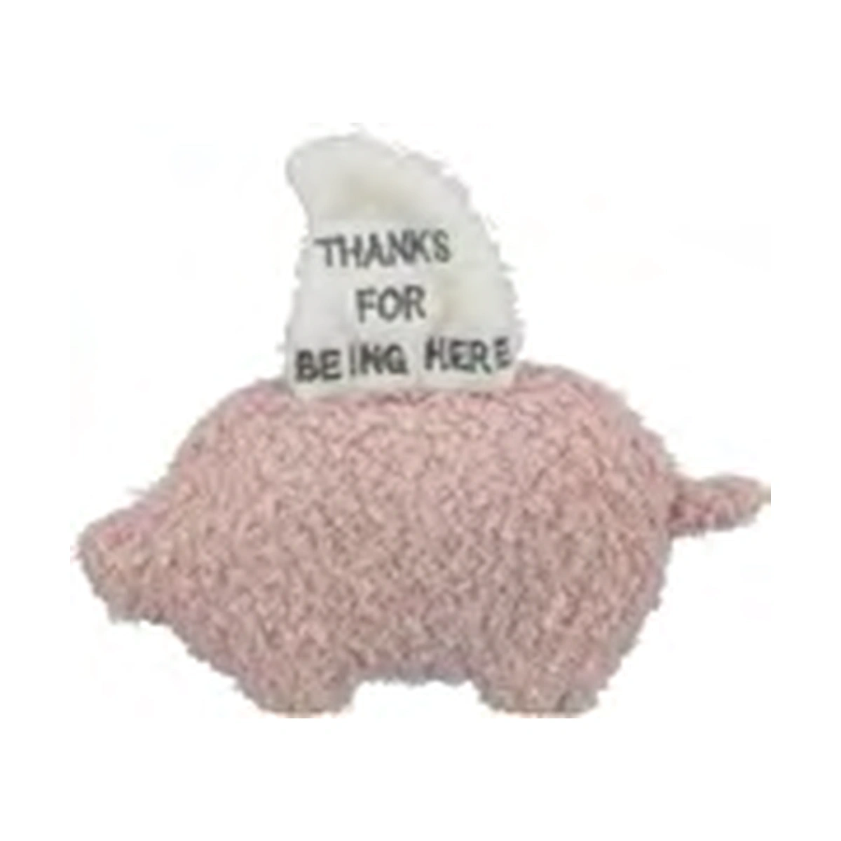 Trixie Junior Pig Dog Toy