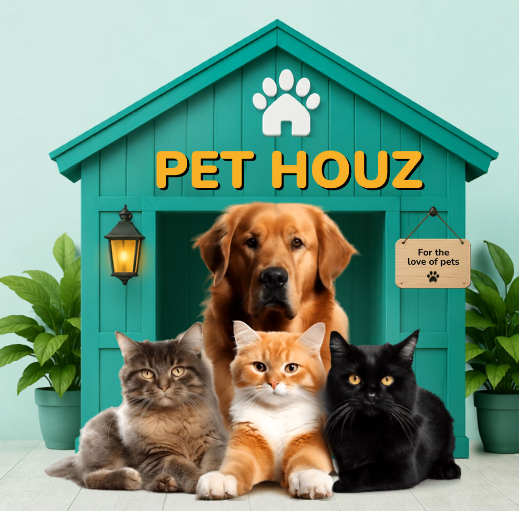 Happy pet
